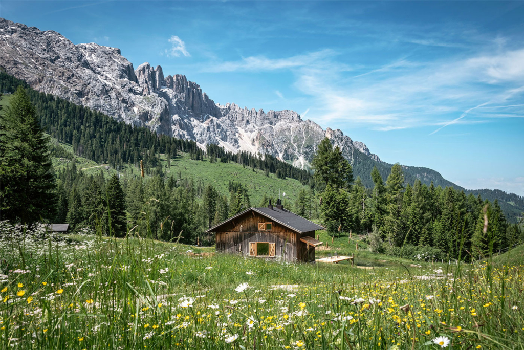 Similde Passo Carezza Dolomiti 01