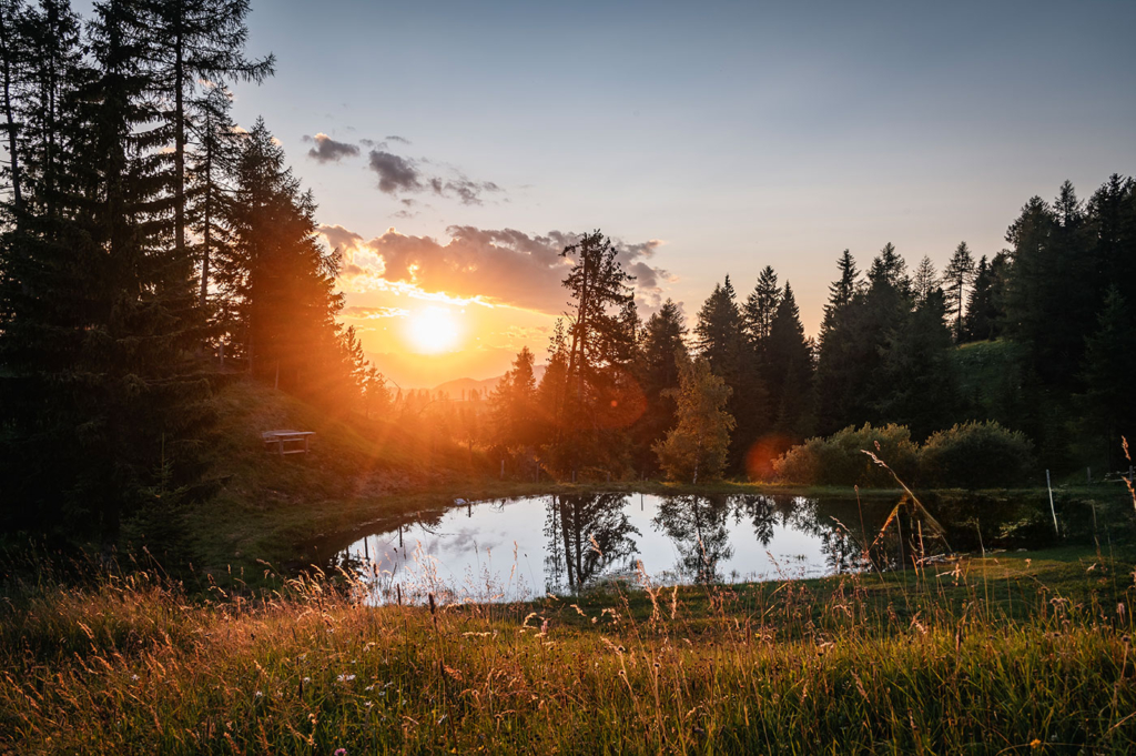 Urlaub Auf Der Alm Dolomiten